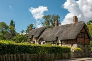 a house with a thatched roof next to a hedge